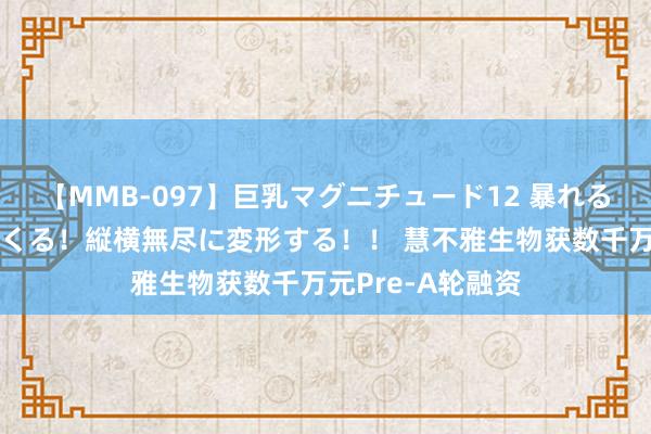 【MMB-097】巨乳マグニチュード12 暴れる！弾む！揺れまくる！縦横無尽に変形する！！ 慧不雅生物获数千万元Pre-A轮融资