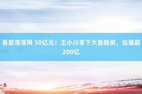 吾爱淫淫网 50亿元！王小川拿下大皆融资，估值超200亿