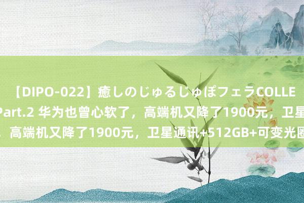 【DIPO-022】癒しのじゅるじゅぽフェラCOLLECTION50連発4時間 Part.2 华为也曾心软了，高端机又降了1900元，卫星通讯+512GB+可变光圈