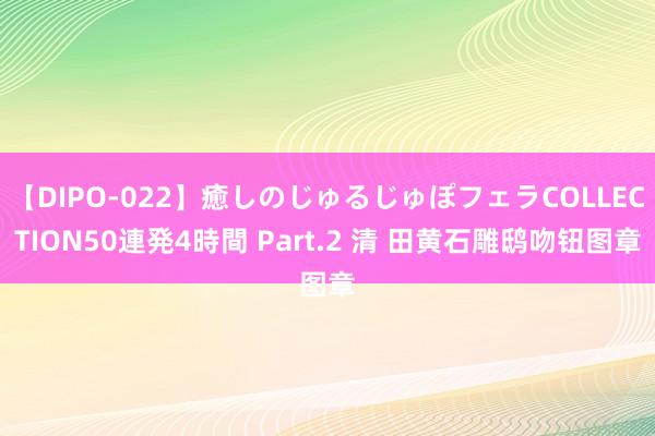 【DIPO-022】癒しのじゅるじゅぽフェラCOLLECTION50連発4時間 Part.2 清 田黄石雕鸱吻钮图章