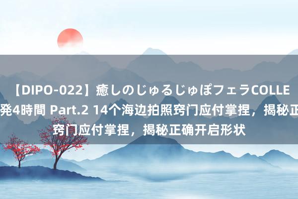 【DIPO-022】癒しのじゅるじゅぽフェラCOLLECTION50連発4時間 Part.2 14个海边拍照窍门应付掌捏，揭秘正确开启形状