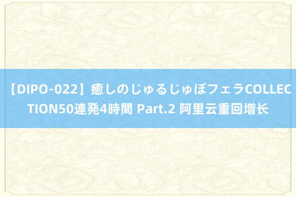 【DIPO-022】癒しのじゅるじゅぽフェラCOLLECTION50連発4時間 Part.2 阿里云重回增长