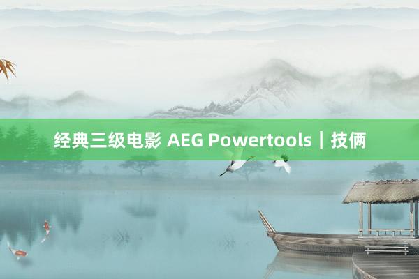 经典三级电影 AEG Powertools｜技俩