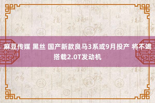 麻豆传媒 黑丝 国产新款良马3系或9月投产 将不竭搭载2.0T发动机