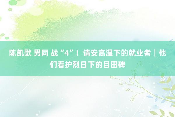 陈凯歌 男同 战“4”！请安高温下的就业者｜他们看护烈日下的目田碑