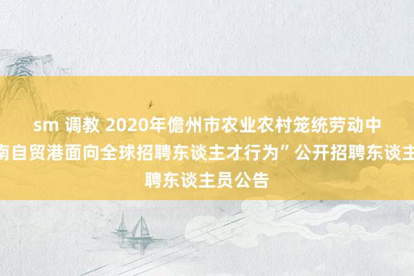 sm 调教 2020年儋州市农业农村笼统劳动中心“海南自贸港面向全球招聘东谈主才行为”公开招聘东谈主员公告