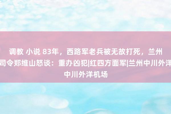 调教 小说 83年，西路军老兵被无故打死，兰州军区司令郑维山怒谈：重办凶犯|红四方面军|兰州中川外洋机场